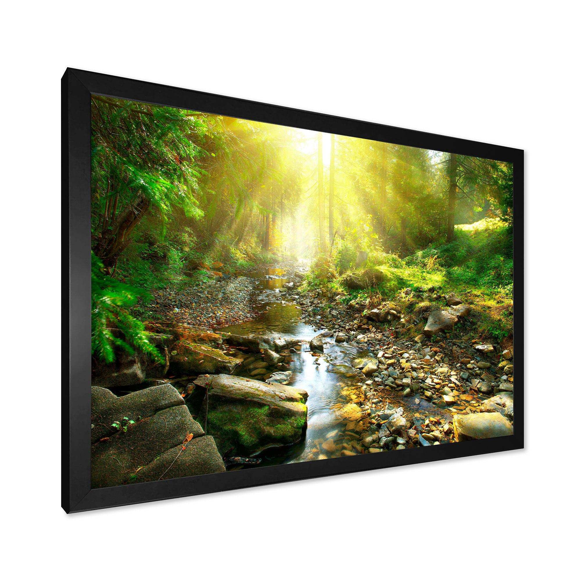 Mountain Stream in Forest