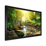 Mountain Stream in Forest