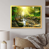 Mountain Stream in Forest