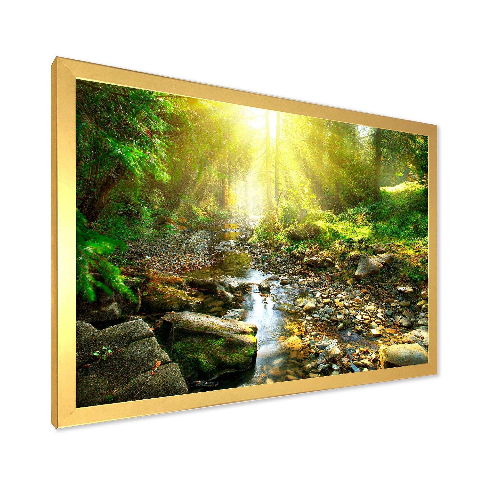 Mountain Stream in Forest