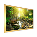 Mountain Stream in Forest