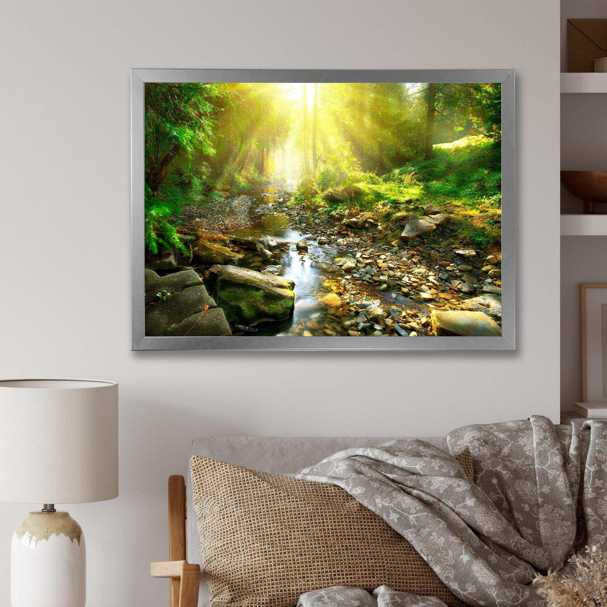 Mountain Stream in Forest