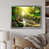 Mountain Stream in Forest