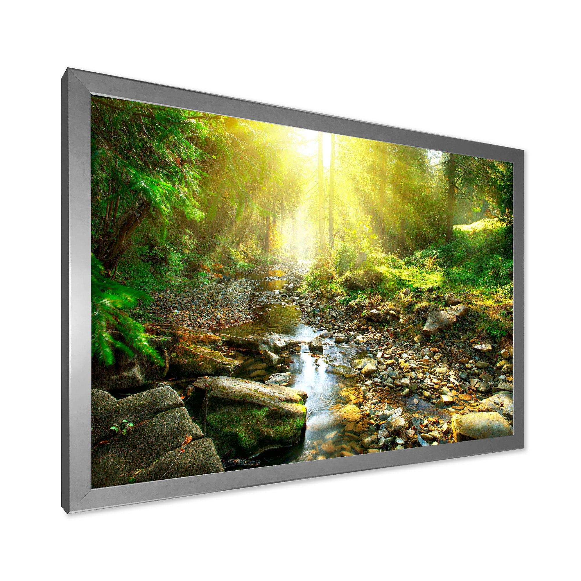 Mountain Stream in Forest