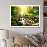 Mountain Stream in Forest