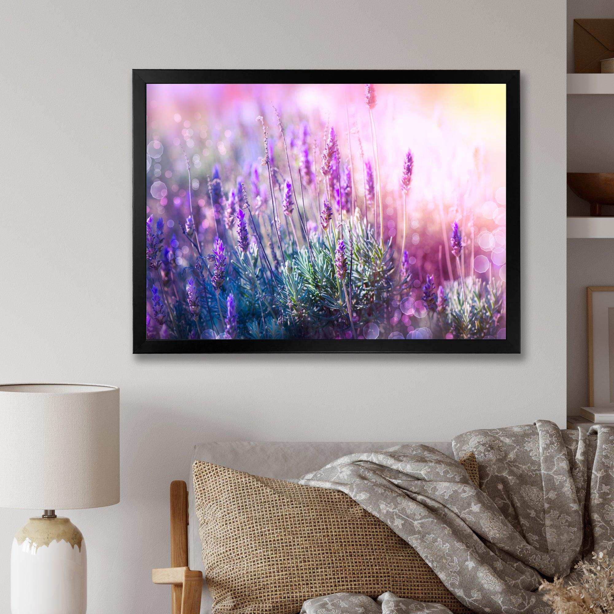 Growing and Blooming Lavender