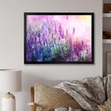 Growing and Blooming Lavender