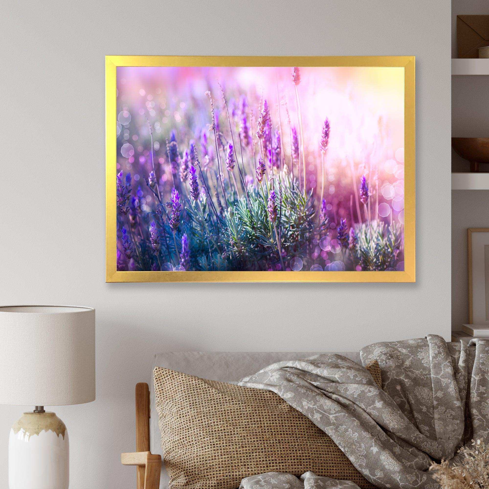 Growing and Blooming Lavender