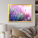 Growing and Blooming Lavender