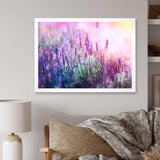 Growing and Blooming Lavender