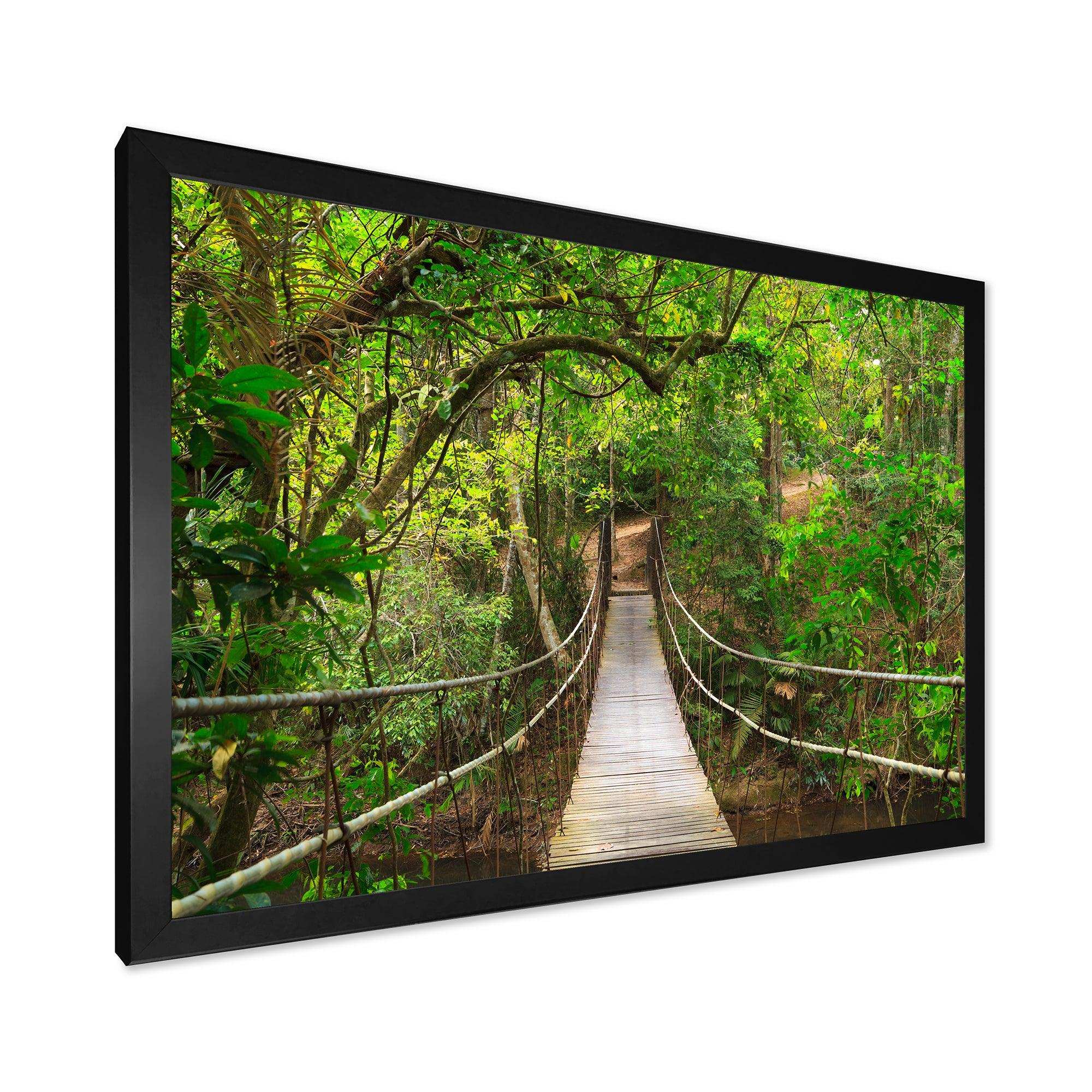 Bridge to Jungle Thailand