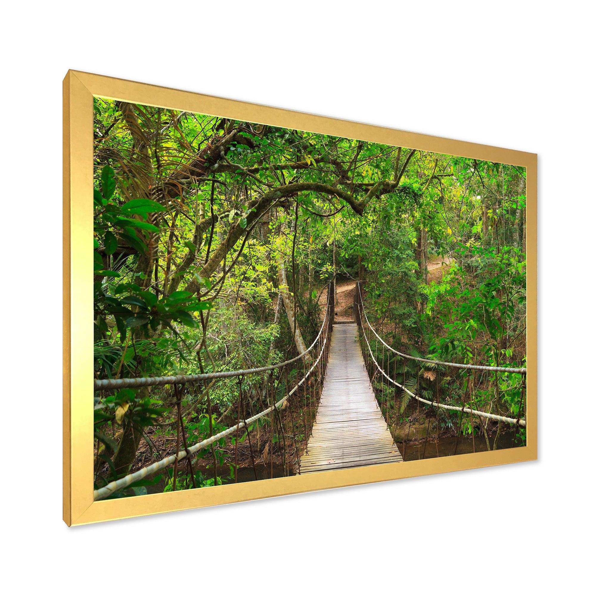 Bridge to Jungle Thailand