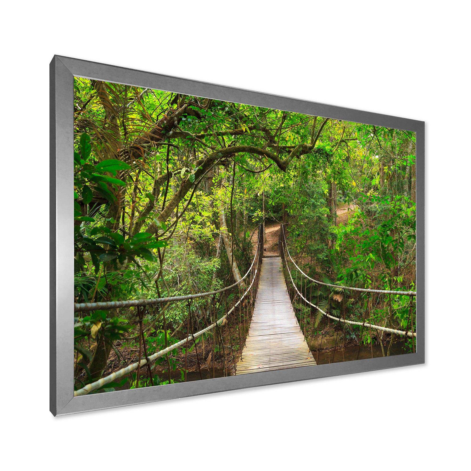 Bridge to Jungle Thailand