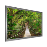 Bridge to Jungle Thailand