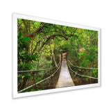 Bridge to Jungle Thailand