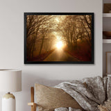 Path to Sunlight in Autumn Forest