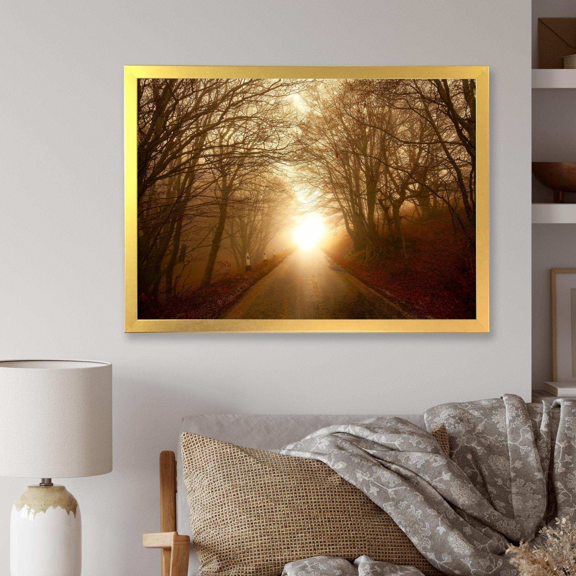 Path to Sunlight in Autumn Forest