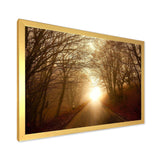 Path to Sunlight in Autumn Forest