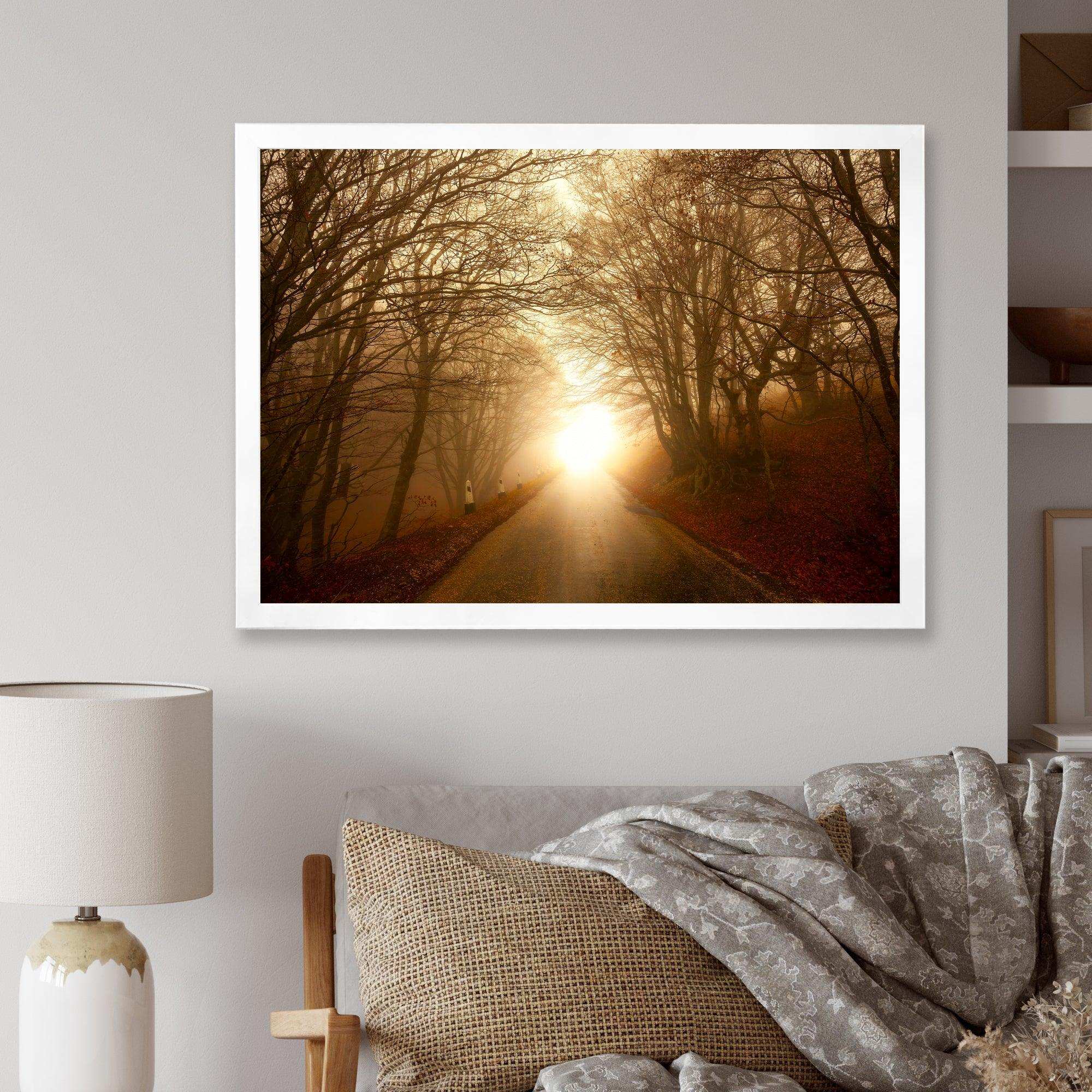 Path to Sunlight in Autumn Forest