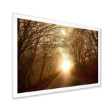 Path to Sunlight in Autumn Forest
