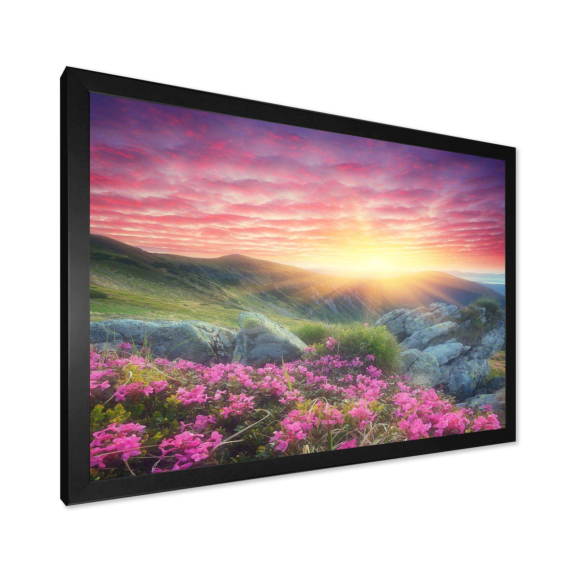 Morning with Flowers in Mountains