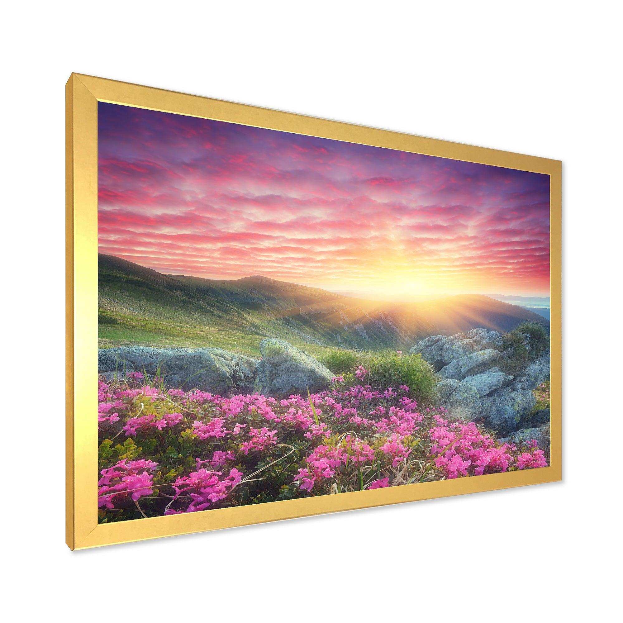 Morning with Flowers in Mountains