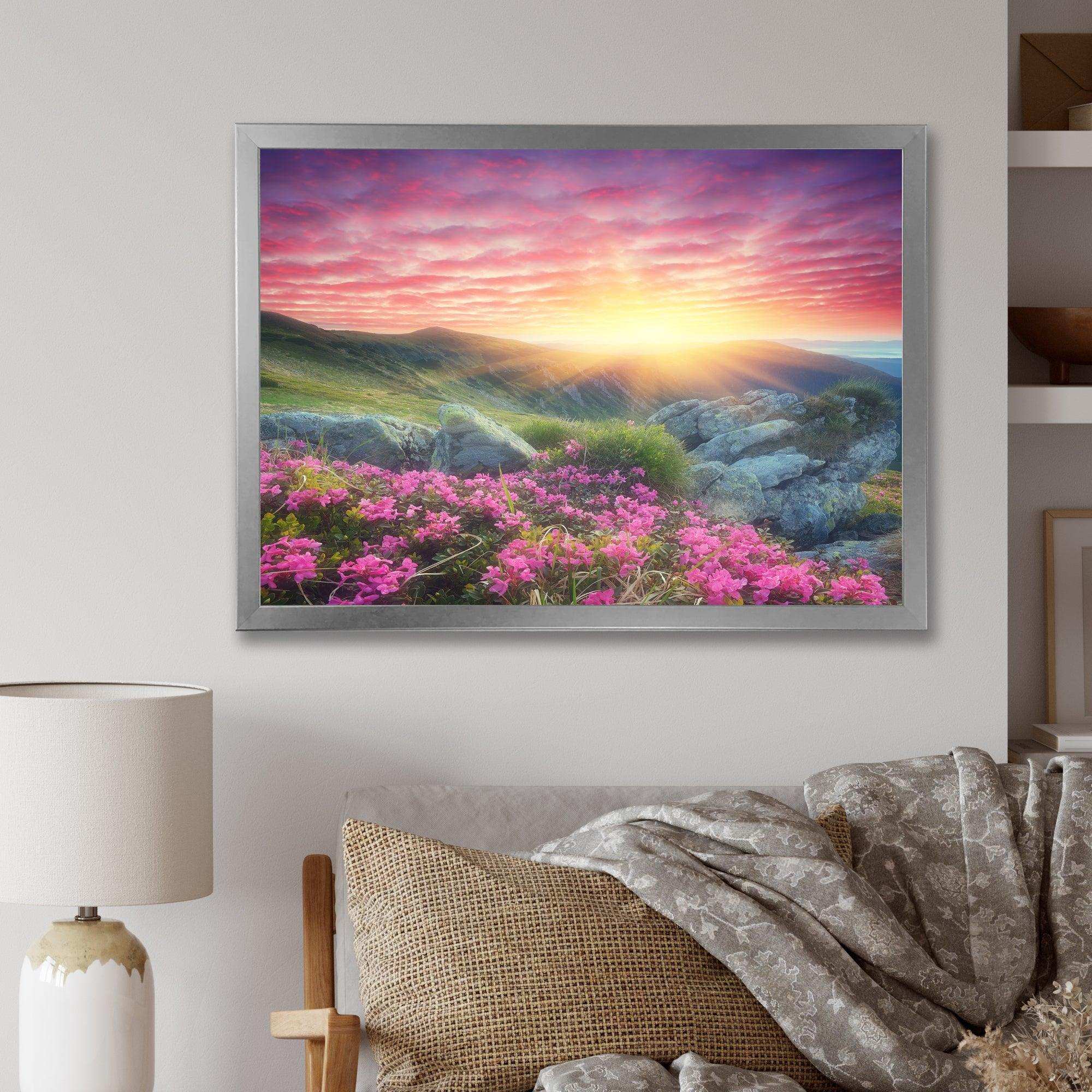 Morning with Flowers in Mountains