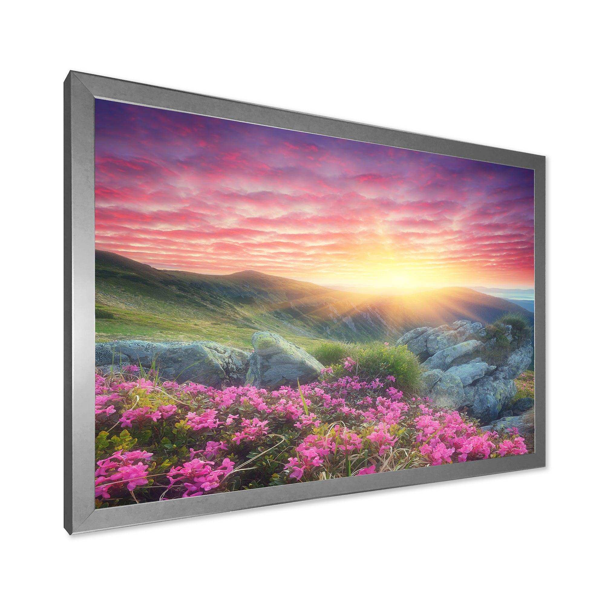 Morning with Flowers in Mountains