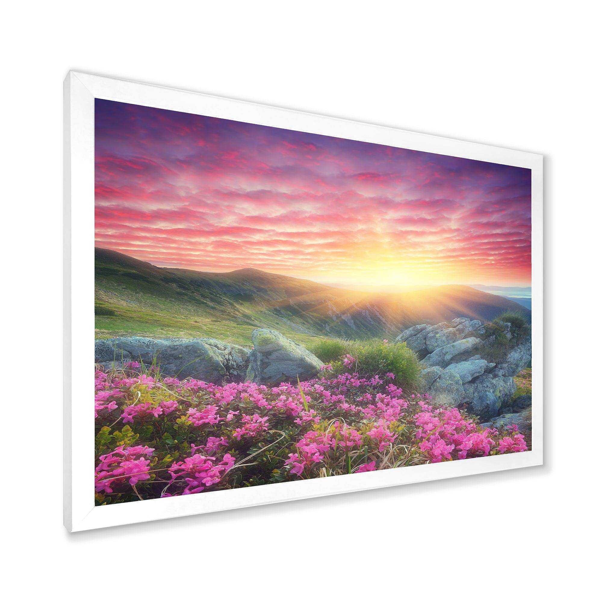 Morning with Flowers in Mountains