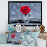 Red Rose Inside the Book