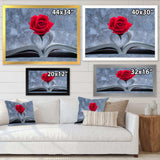 Red Rose Inside the Book