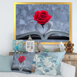 Red Rose Inside the Book