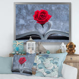 Red Rose Inside the Book