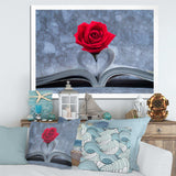 Red Rose Inside the Book