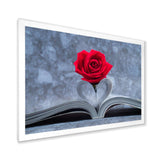Red Rose Inside the Book