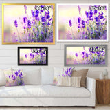 Purple Lavender Field