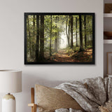 Green Fall Forest with Sun Rays