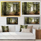 Green Fall Forest with Sun Rays