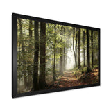 Green Fall Forest with Sun Rays