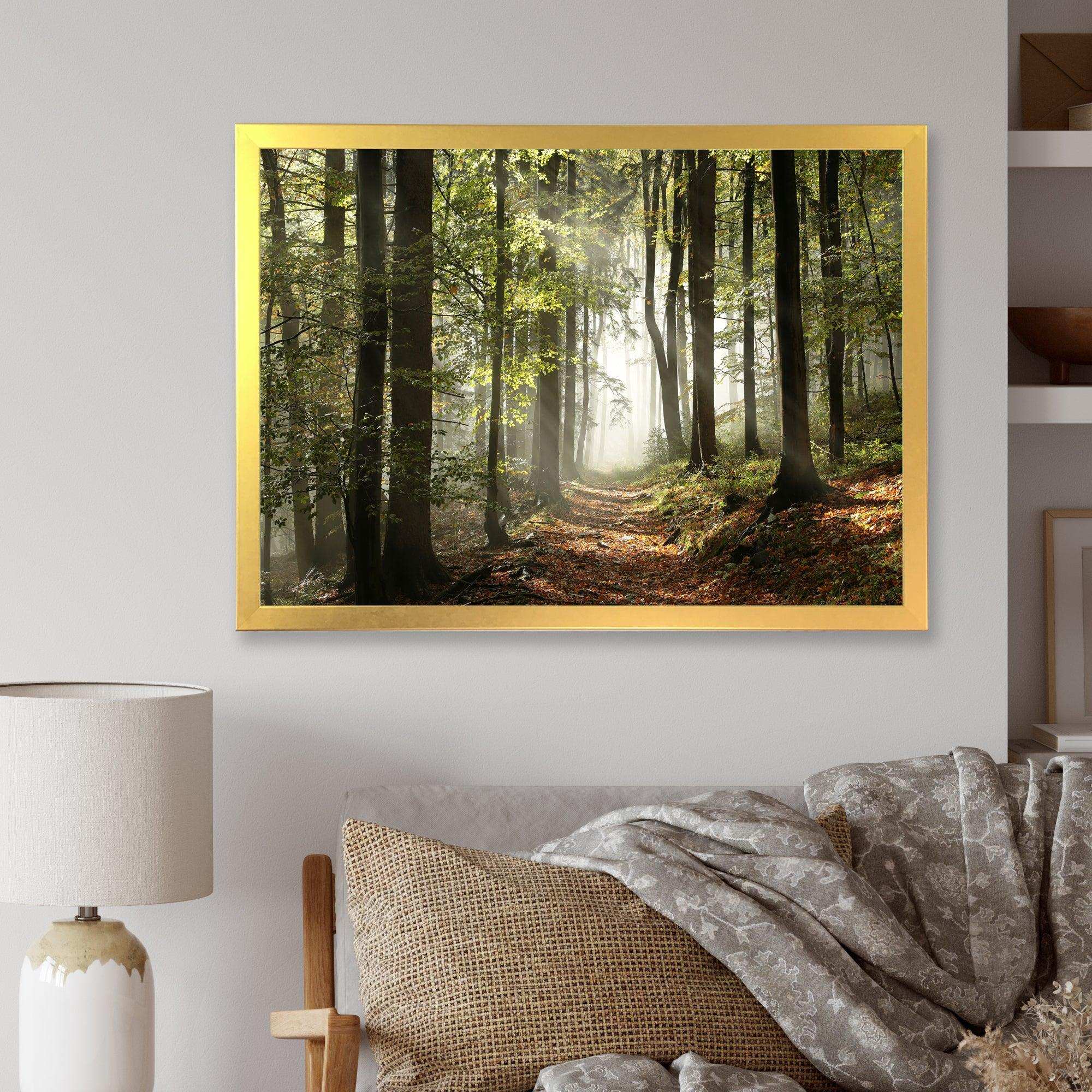 Green Fall Forest with Sun Rays