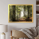 Green Fall Forest with Sun Rays