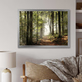 Green Fall Forest with Sun Rays