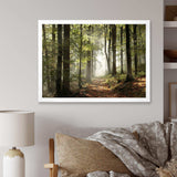 Green Fall Forest with Sun Rays