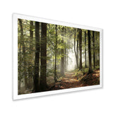 Green Fall Forest with Sun Rays