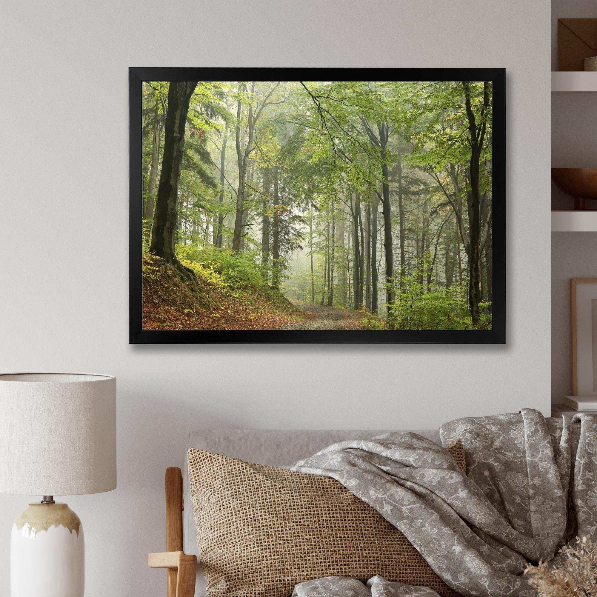 Green Beach Forest Pathway