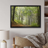 Green Beach Forest Pathway