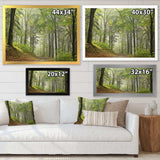 Green Beach Forest Pathway