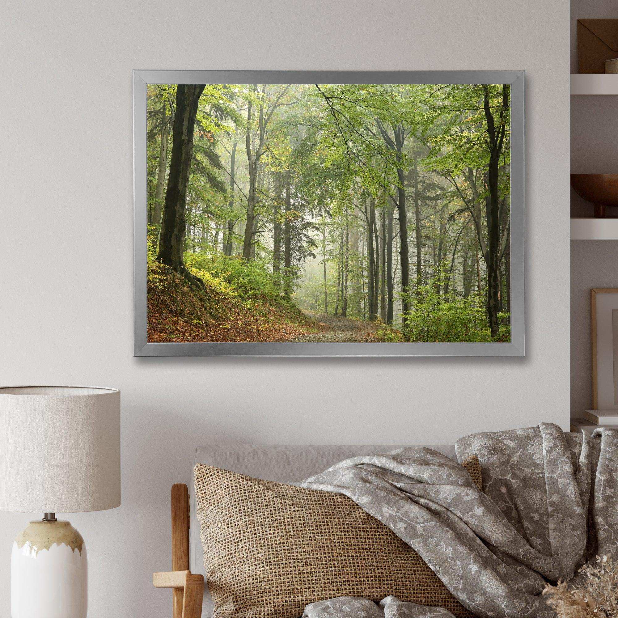 Green Beach Forest Pathway