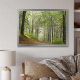 Green Beach Forest Pathway