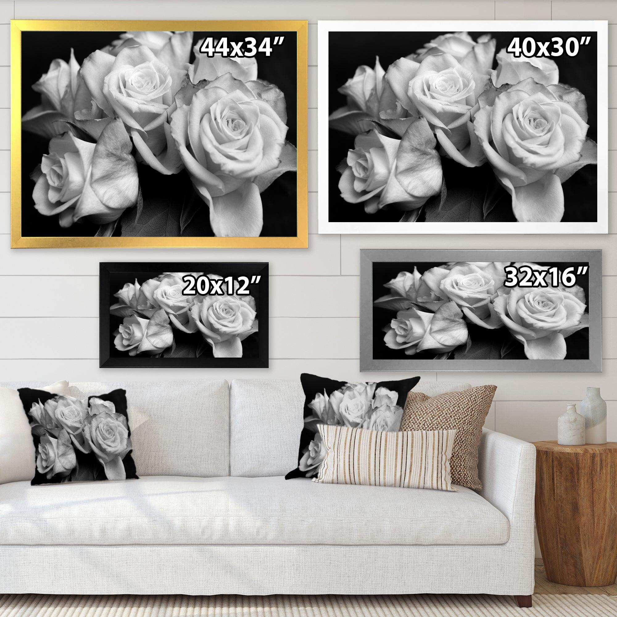 Bunch of Roses Black and White